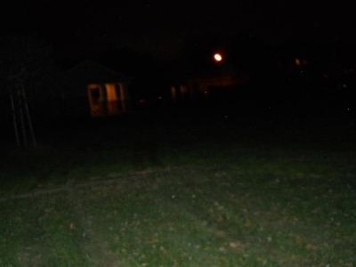 Heard some blokes talking from this direction. Sounded nefarious. Interesting.