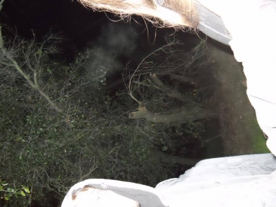 Fettucini said something snarky, tried to blind him with the flash. Missed.