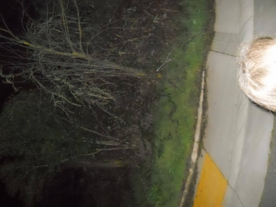 Those yellow grip-tiles feel weird. Never noticed before.