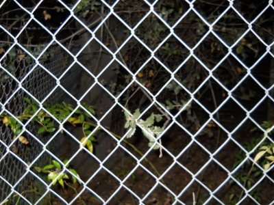 Brushed against this. It was ice cold, and slightly abrasive.