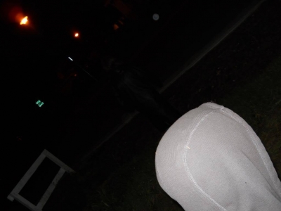 Heard a noise. Loud and high-pitched. Also, Fettucini's head.