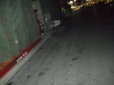 Interesting smelling trees, loud buzzing noise I'd never noticed before.