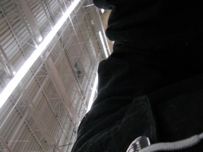 Heard a bird in walmart, tried to get a picture.