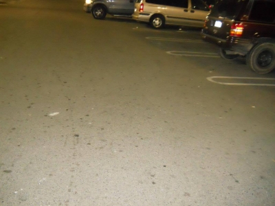 Cars are effing terrifying while blind. One sped past, Fettucini pushed me out of the street.