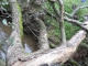 dscn0169.jpg