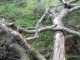 dscn0170.jpg