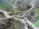 dscn0171.jpg