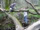 dscn0173.jpg