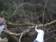 dscn0176.jpg