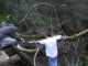 dscn0178.jpg