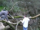 dscn0179.jpg