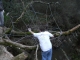 dscn0181.jpg
