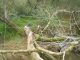 dscn0182.jpg