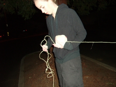 Little Albatross untangles twine.