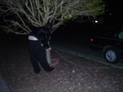 The tree he tied the car to.