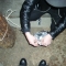Bird's eye view.