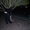 The tree he tied the car to.