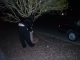 The tree he tied the car to.