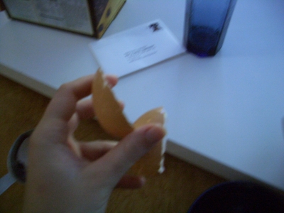 Two halves of the egg shell