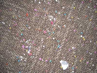 The Following Evening