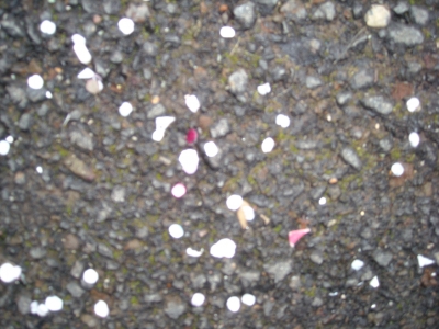 close up of pavement