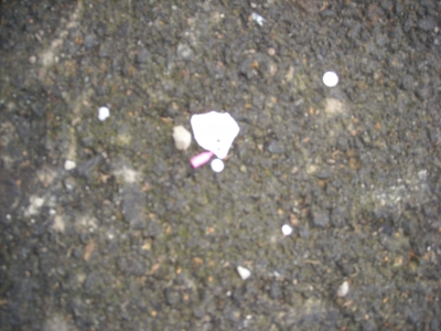 another close up of pavment