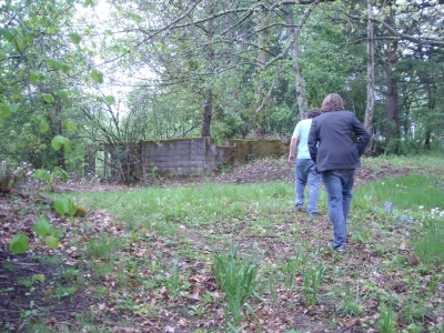 DSCN0384.JPG DSCN0384.JPG