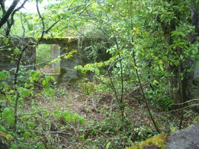 DSCN0387.JPG DSCN0387.JPG