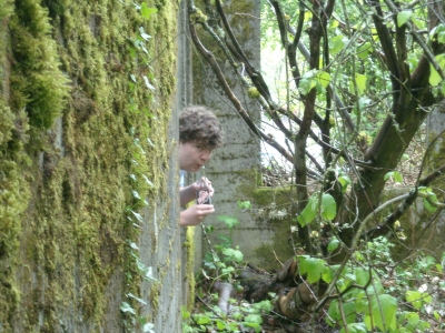 DSCN0388.JPG DSCN0388.JPG