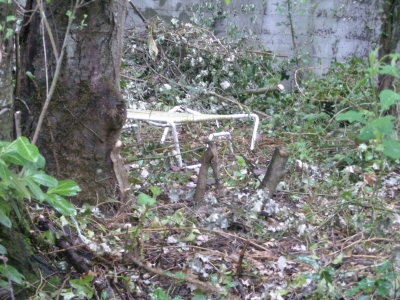 DSCN0390.JPG DSCN0390.JPG