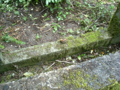 DSCN0392.JPG DSCN0392.JPG