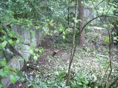 DSCN0393.JPG DSCN0393.JPG