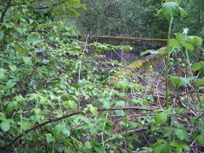 DSCN0394.JPG DSCN0394.JPG