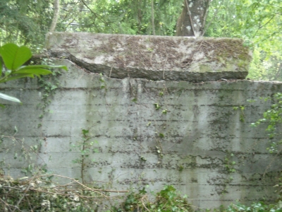 DSCN0398.JPG DSCN0398.JPG