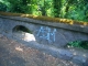 CIMG2223.JPG