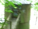 CIMG2247.JPG