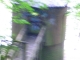 CIMG2249.JPG