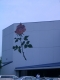 CIMG2264.JPG