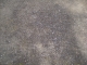 pavment