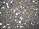 close up of pavement