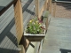 DSCN0337.JPG