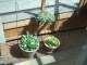 DSCN0338.JPG