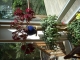 DSCN0339.JPG