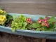 DSCN0352.JPG