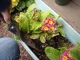 DSCN0353.JPG