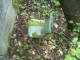 DSCN0386.JPG