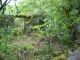 DSCN0387.JPG