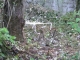 DSCN0390.JPG