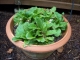 DSCN0401.JPG