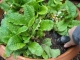 DSCN0402.JPG